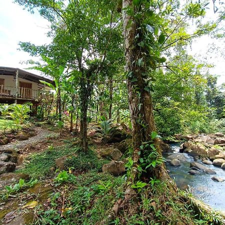 Cabana Vista Rio Celeste 外观 照片
