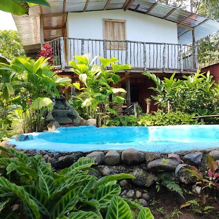 Cabana Vista Rio Celeste 外观 照片
