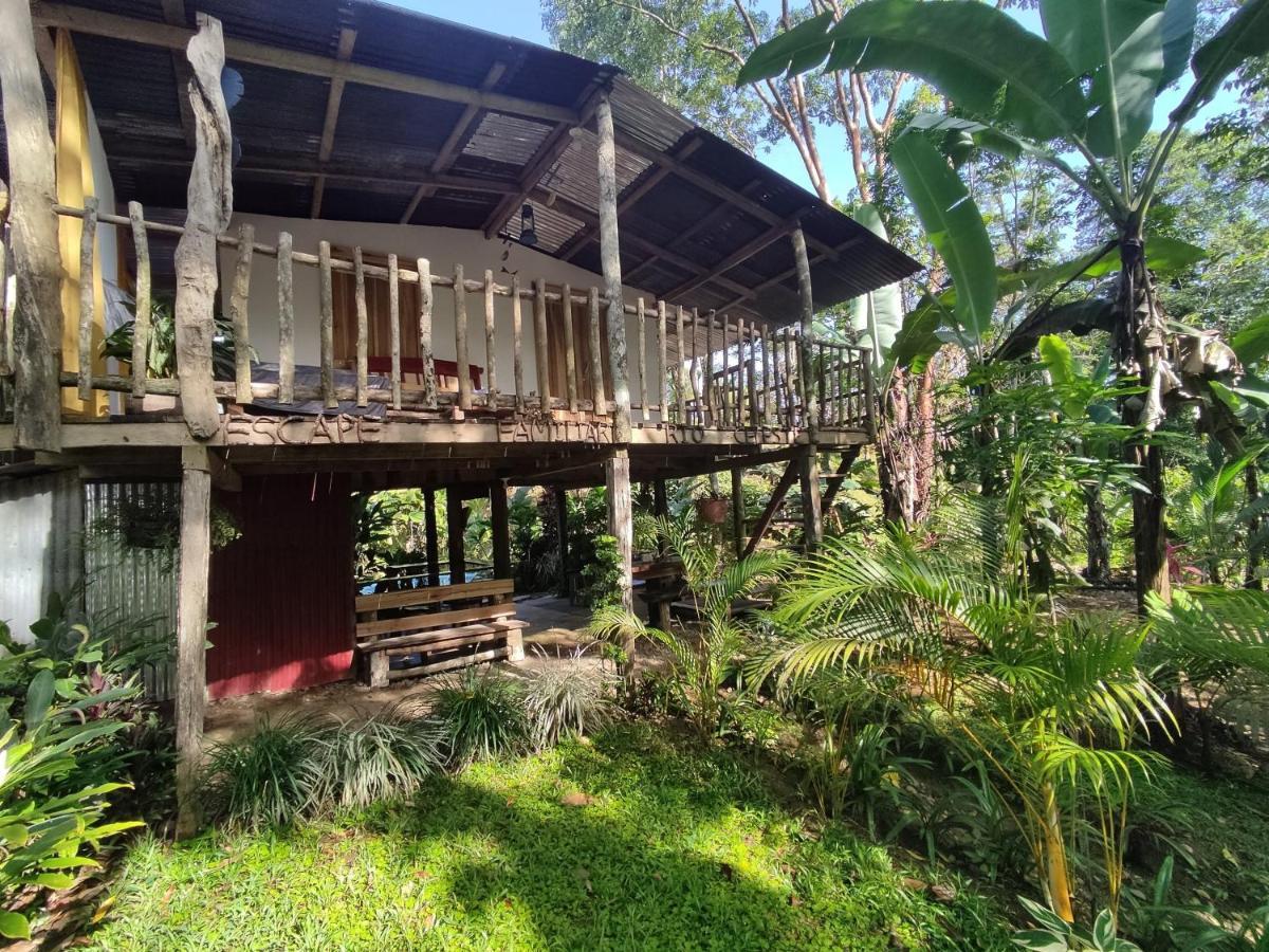 Cabana Vista Rio Celeste 外观 照片