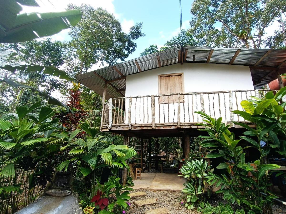 Cabana Vista Rio Celeste 外观 照片