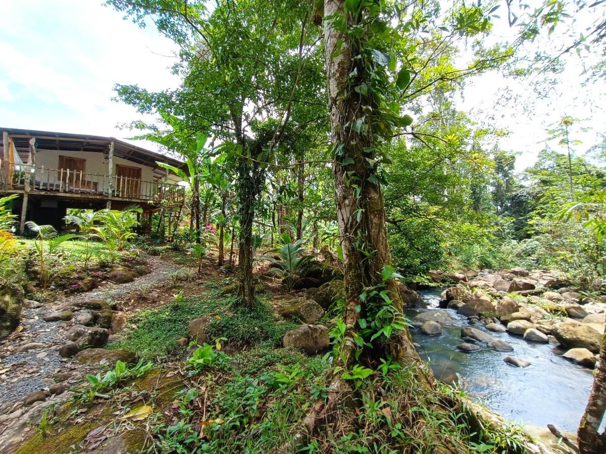 Cabana Vista Rio Celeste 外观 照片