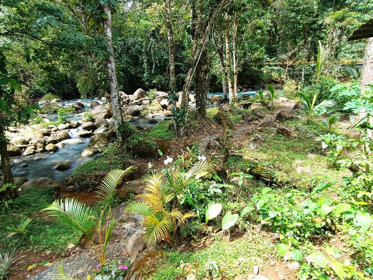 Cabana Vista Rio Celeste 外观 照片
