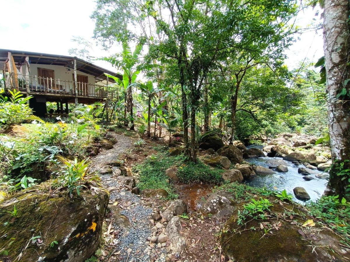Cabana Vista Rio Celeste 外观 照片