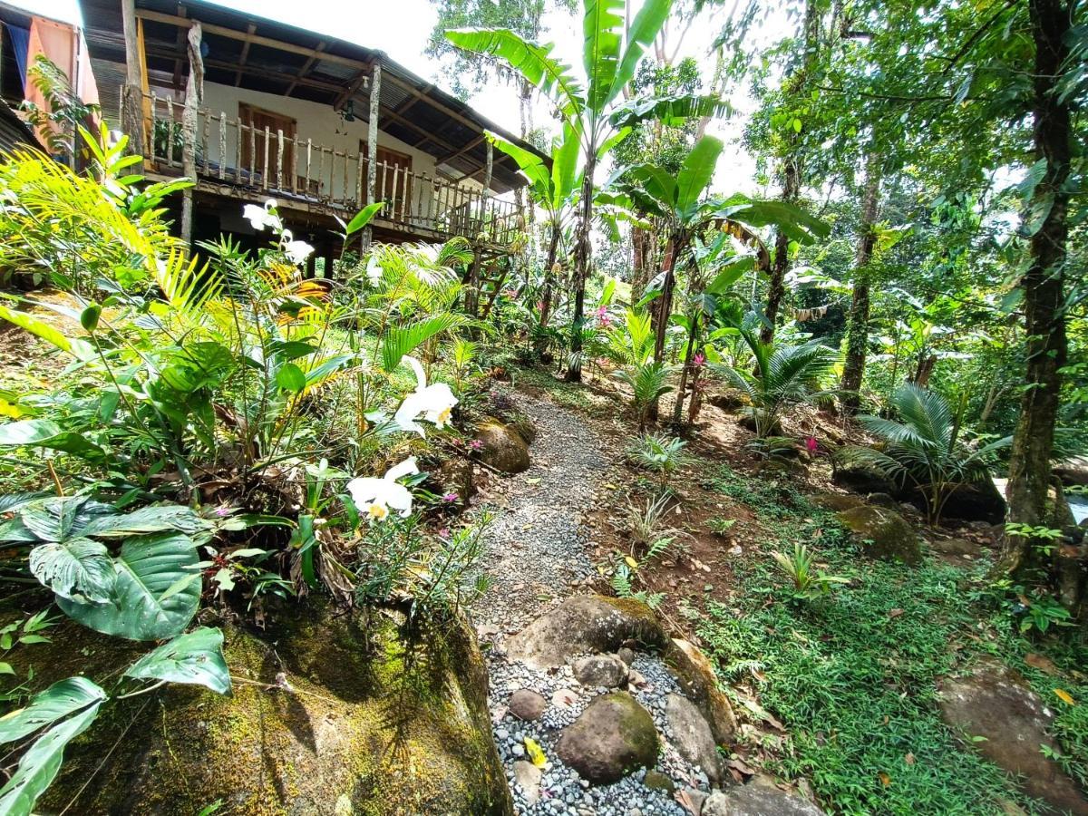 Cabana Vista Rio Celeste 外观 照片