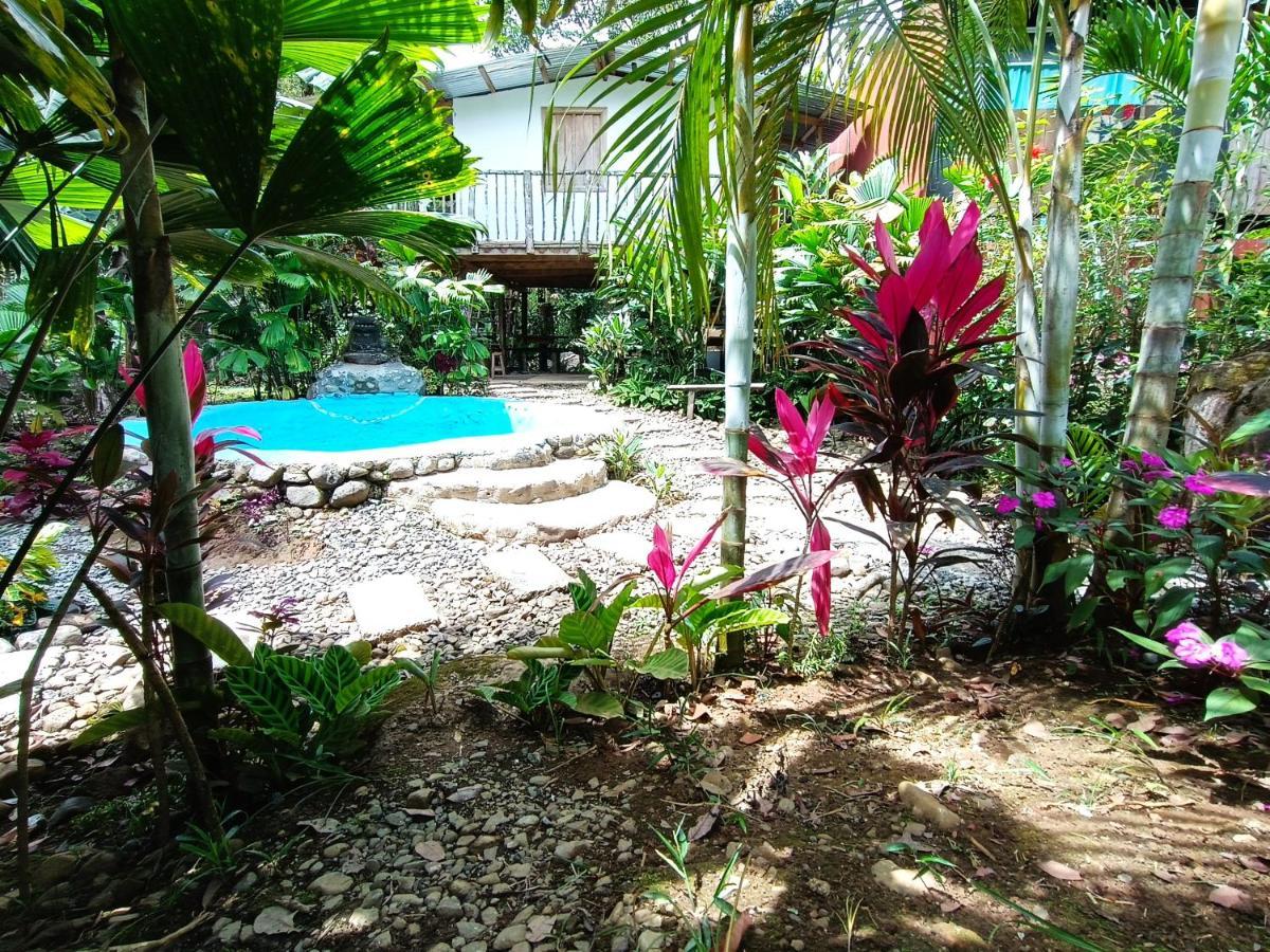Cabana Vista Rio Celeste 外观 照片