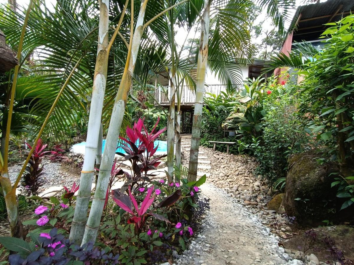Cabana Vista Rio Celeste 外观 照片