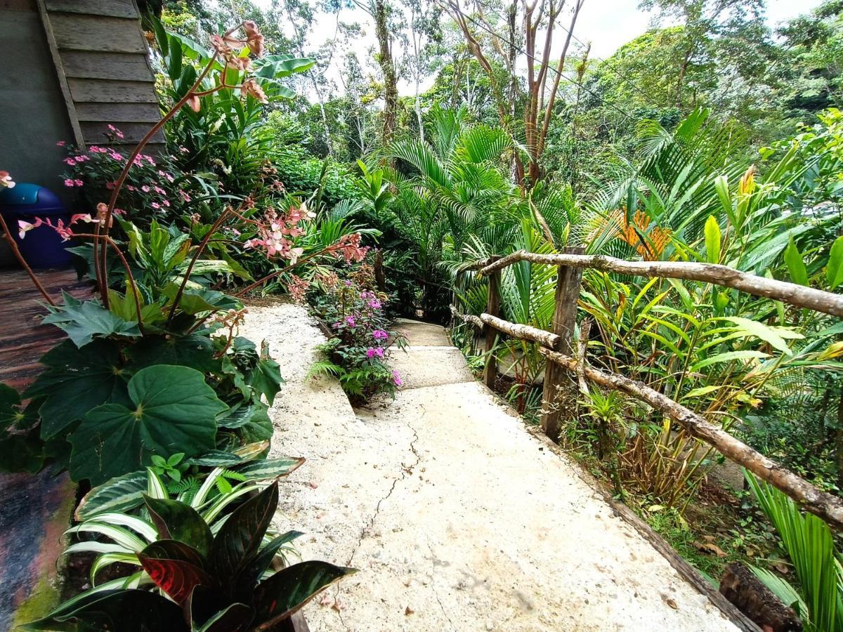 Cabana Vista Rio Celeste 外观 照片